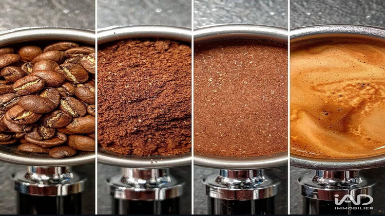 Ma-Cabane - Vente Boutique Saint-Martin-de-Ré, 150 m²