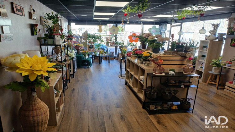 Ma-Cabane - Vente Boutique Saint-Sauveur-Lendelin, 156 m²