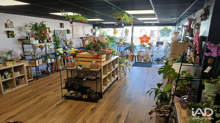 Ma-Cabane - Vente Boutique Saint-Sauveur-Lendelin, 156 m²