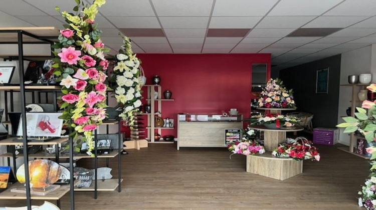 Ma-Cabane - Vente Boutique Saint-Sulpice-et-Cameyrac, 55 m²