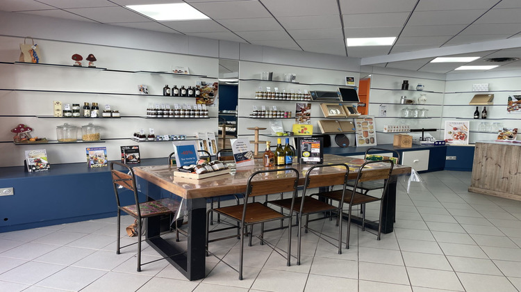 Ma-Cabane - Vente Boutique Saint-Symphorien-d'Ozon, 85 m²