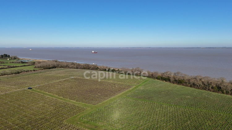 Ma-Cabane - Vente Boutique SAINT YZANS DE MEDOC, 1143 m²