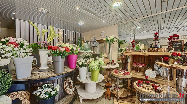 Ma-Cabane - Vente Boutique Sainte-Marguerite, 100 m²