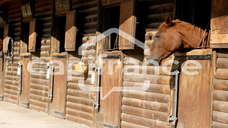 Ma-Cabane - Vente Boutique SAINTES MARIES DE LA MER, 10000 m²