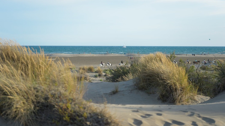 Ma-Cabane - Vente Boutique SAINTES MARIES DE LA MER, 10000 m²