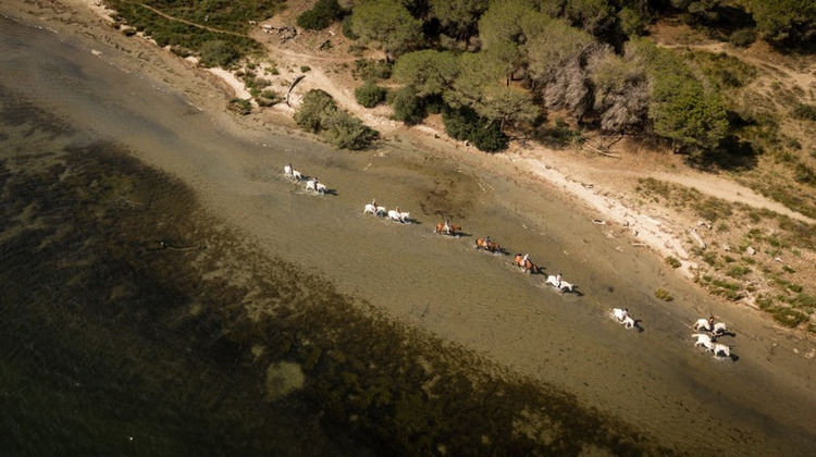 Ma-Cabane - Vente Boutique SAINTES MARIES DE LA MER, 10000 m²