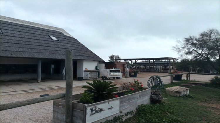 Ma-Cabane - Vente Boutique Saintes-Maries-de-la-Mer, 10000 m²