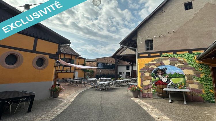 Ma-Cabane - Vente Boutique Sélestat, 320 m²