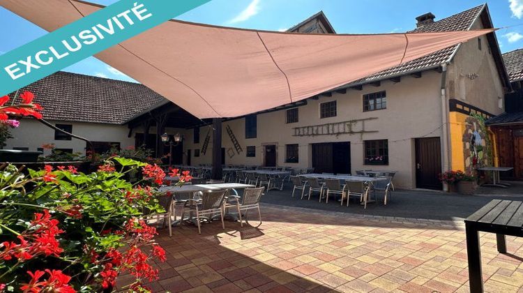 Ma-Cabane - Vente Boutique Sélestat, 320 m²