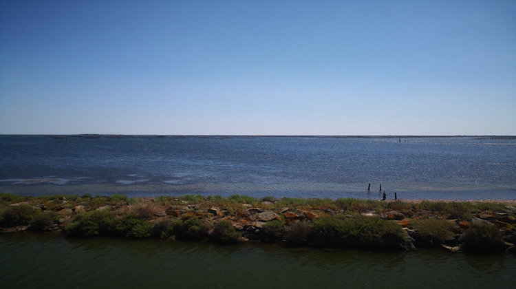 Ma-Cabane - Vente Boutique SETE, 1 m²