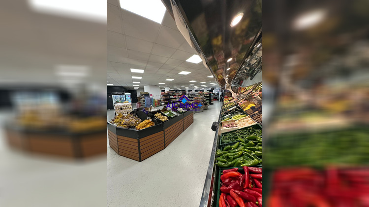 Ma-Cabane - Vente Boutique Strasbourg, 750 m²