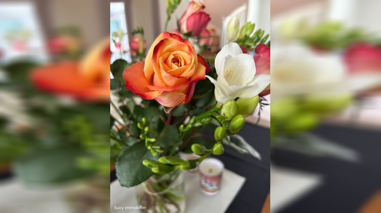 Ma-Cabane - Vente Boutique SUCY-EN-BRIE, 25 m²