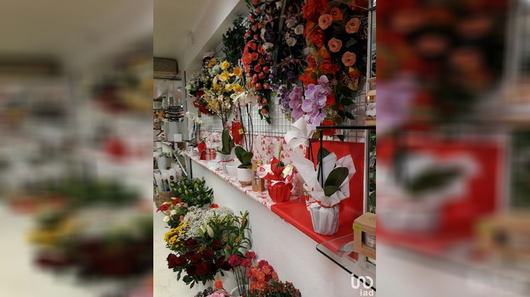 Ma-Cabane - Vente Boutique Tarascon-sur-Ariège, 35 m²