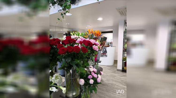 Ma-Cabane - Vente Boutique Tours, 155 m²