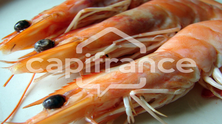 Ma-Cabane - Vente Boutique TREFFIAGAT, 1 m²