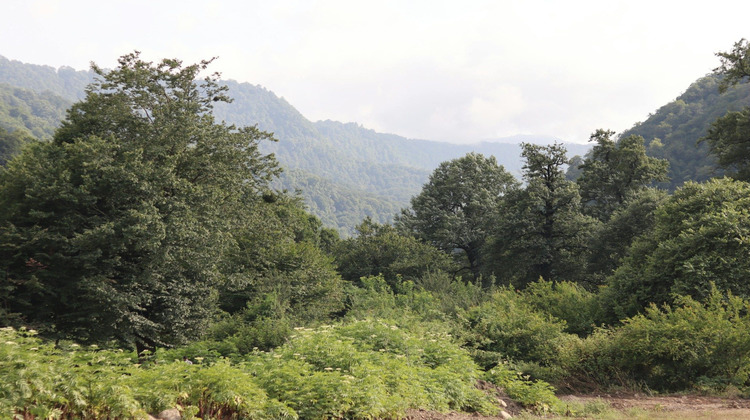 Ma-Cabane - Vente Boutique Valence, 350 m²