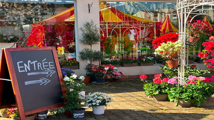 Ma-Cabane - Vente Boutique Vierzon, 239 m²