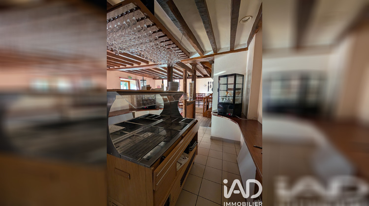 Ma-Cabane - Vente Boutique Villaines-la-Gonais, 250 m²