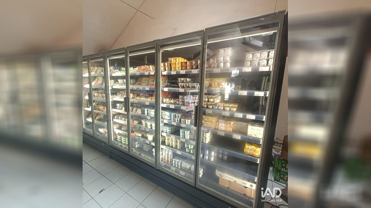 Ma-Cabane - Vente Boutique Villedômer, 215 m²