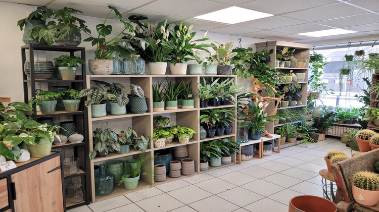 Ma-Cabane - Vente Boutique Villeurbanne, 130 m²