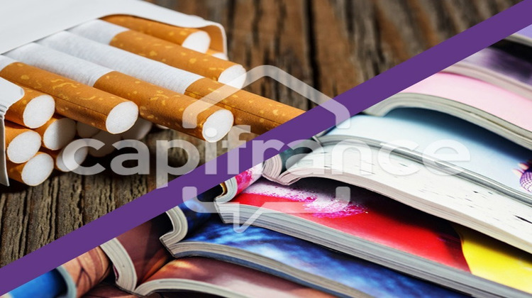 Ma-Cabane - Vente Boutique VIZILLE, 221 m²