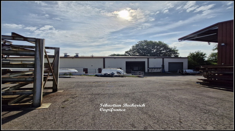 Ma-Cabane - Vente Divers ALTRIPPE, 1971 m²