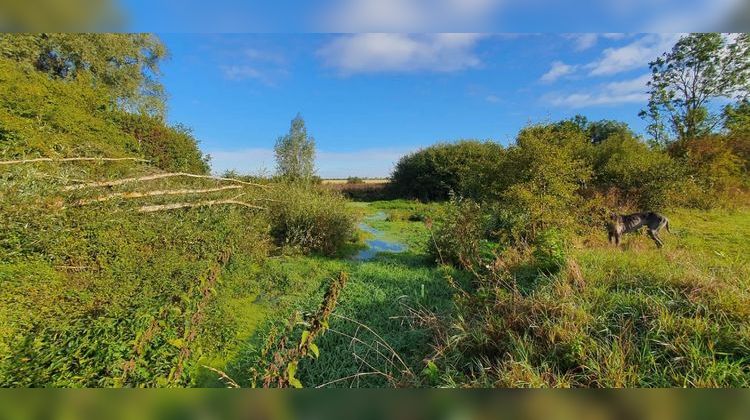 Ma-Cabane - Vente Divers Amel-sur-l'Étang, 300 m²