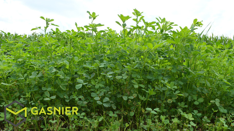 Ma-Cabane - Vente Divers ANGERS, 420739 m²