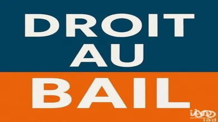 Ma-Cabane - Vente Divers Angers, 47 m²
