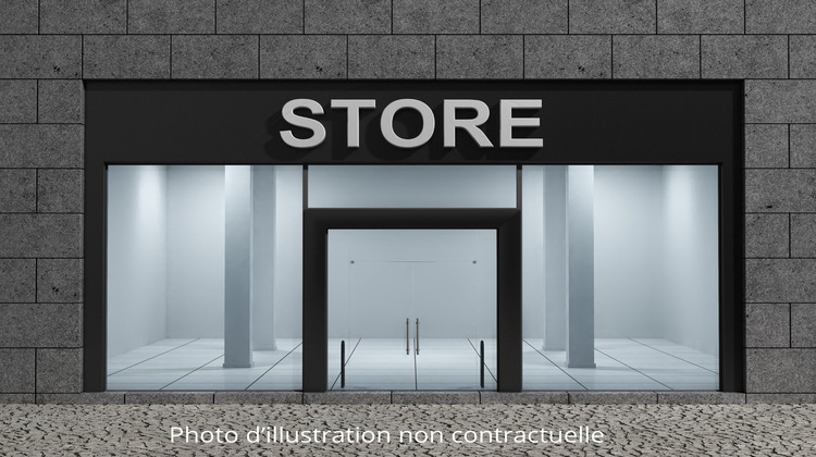 Ma-Cabane - Vente Divers Annecy, 226 m²