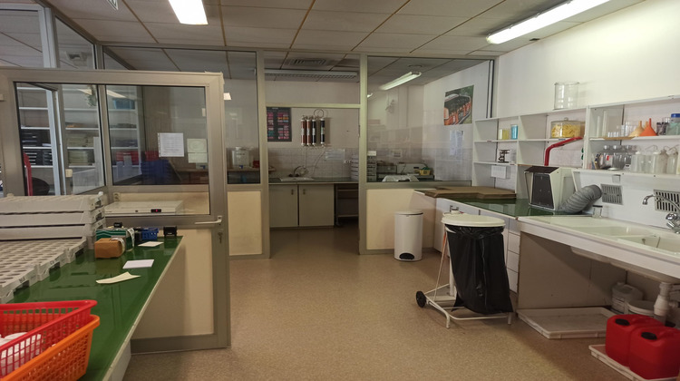 Ma-Cabane - Vente Divers Belfort, 330 m²