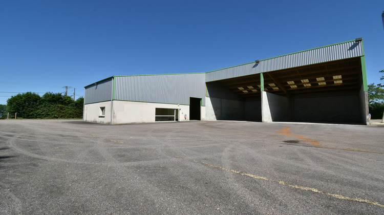 Ma-Cabane - Vente Divers BELLOU EN HOULME, 7236 m²