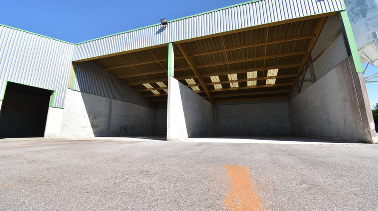 Ma-Cabane - Vente Divers BELLOU EN HOULME, 7236 m²