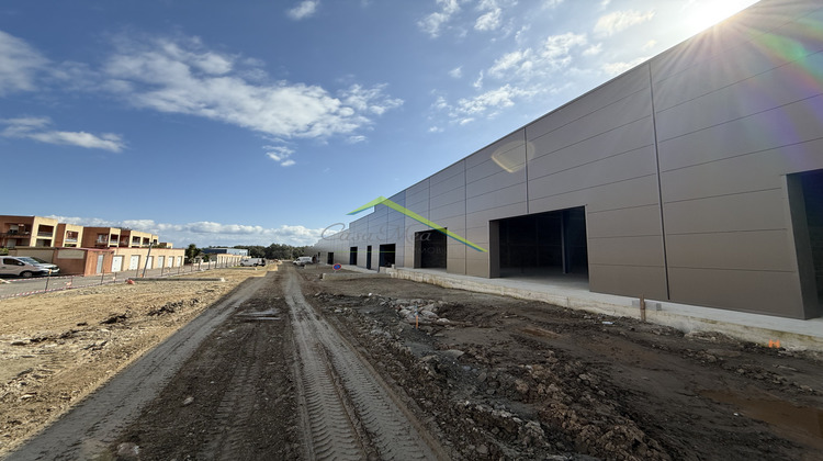 Ma-Cabane - Vente Divers Biguglia, 275 m²