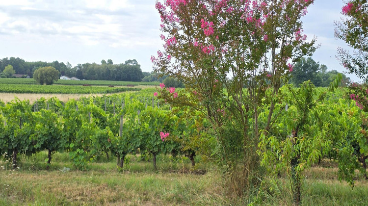Ma-Cabane - Vente Divers BLAYE, 180000 m²