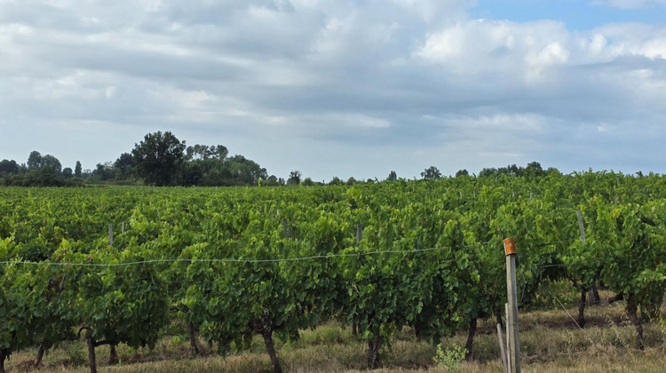 Ma-Cabane - Vente Divers BLAYE, 180000 m²