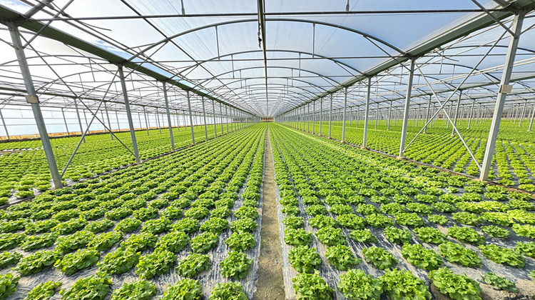 Ma-Cabane - Vente Divers BOMPAS, 18000 m²