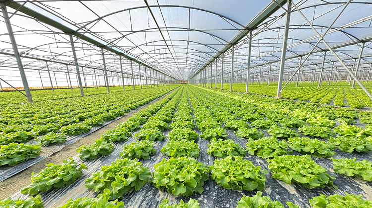 Ma-Cabane - Vente Divers BOMPAS, 18000 m²