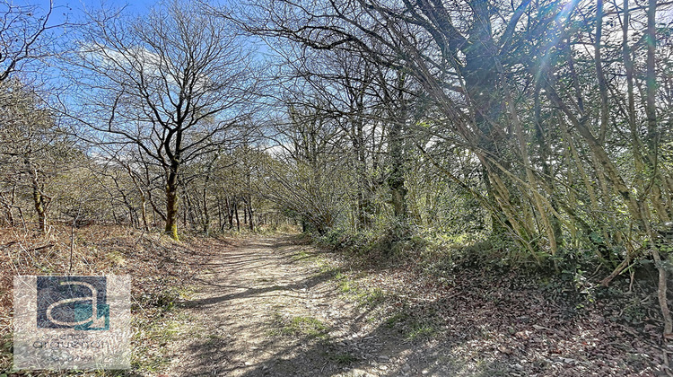 Ma-Cabane - Vente Divers BROONS, 0 m²