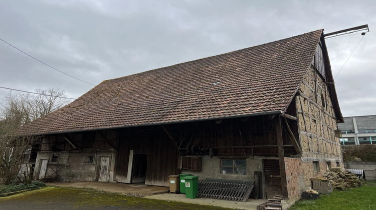 Ma-Cabane - Vente Divers Buschwiller, 200 m²