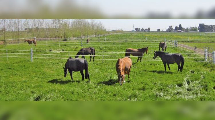 Ma-Cabane - Vente Divers CAEN, 1 m²