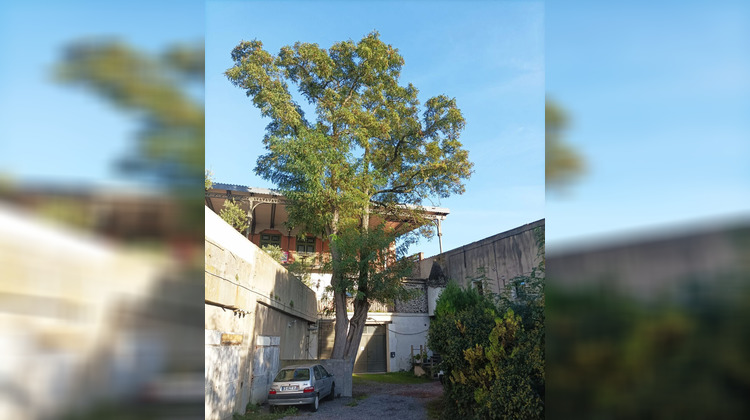 Ma-Cabane - Vente Divers CARCASSONNE, 100 m²