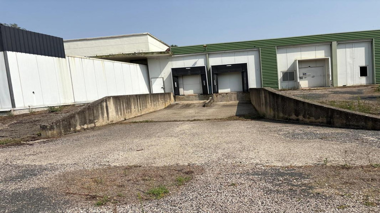 Ma-Cabane - Vente Divers CARMAUX, 3000 m²