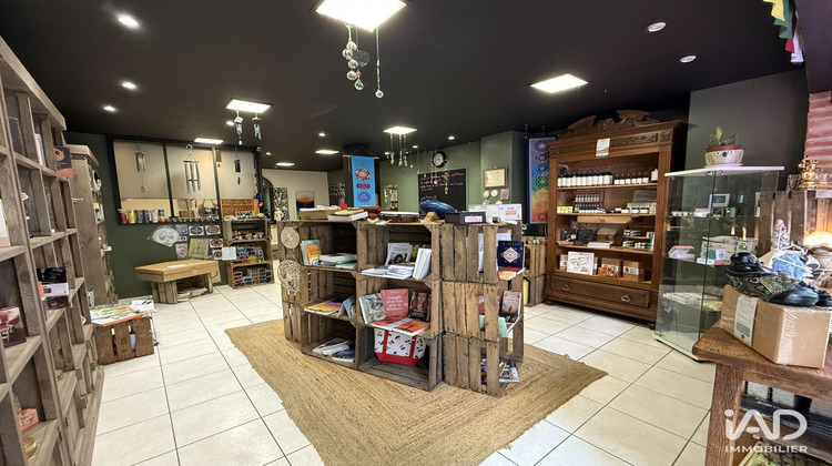 Ma-Cabane - Vente Divers Céret, 36 m²