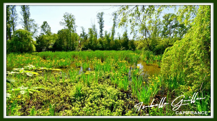 Ma-Cabane - Vente Divers CHATEAUMEILLANT, 24565 m²