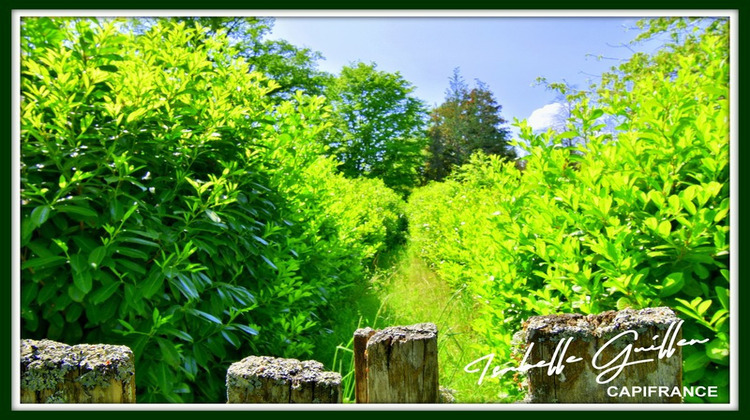 Ma-Cabane - Vente Divers CHATEAUMEILLANT, 24565 m²