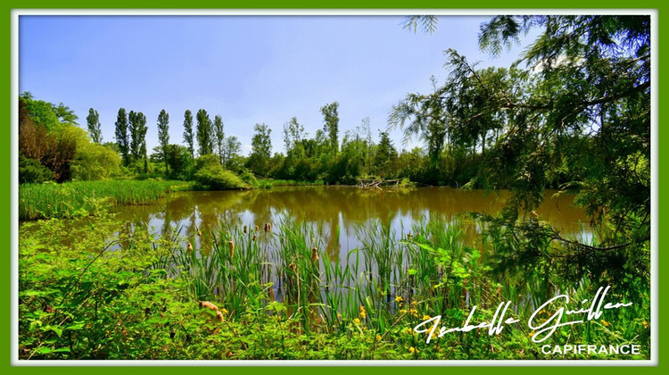 Ma-Cabane - Vente Divers CHATEAUMEILLANT, 24565 m²