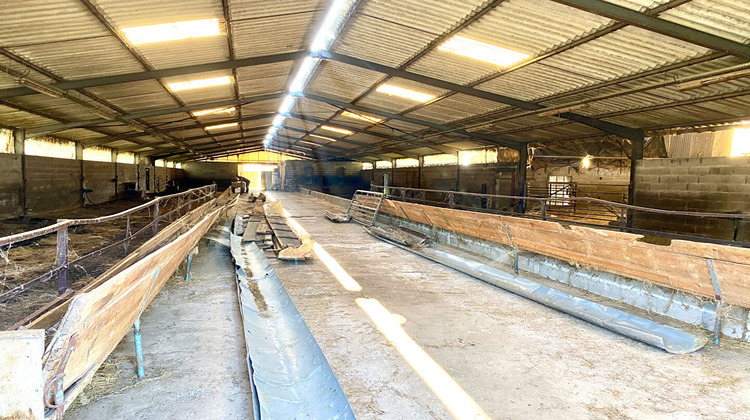 Ma-Cabane - Vente Divers CHATILLON-SUR-CHER, 1994 m²