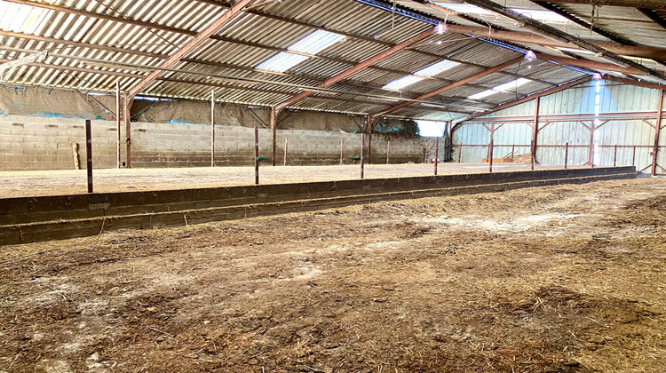 Ma-Cabane - Vente Divers CHATILLON-SUR-CHER, 1994 m²