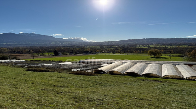 Ma-Cabane - Vente Divers CONTAMINE SUR ARVE, 160 m²